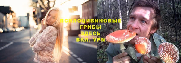 круглые Белокуриха