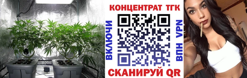 закладка  Онега  Дистиллят ТГК Wax 